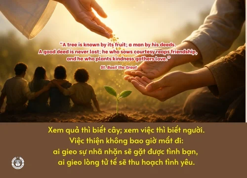 Ý lực sống - ngày 1/7/2026