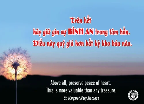 Ý lực sống - ngày 11/2/2025