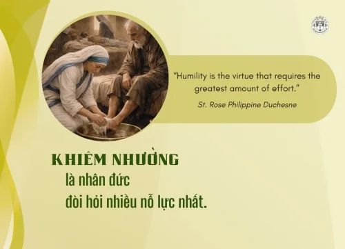 Ý lực sống - ngày 11/4/2026