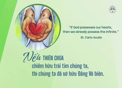 Ý lực sống - ngày 11/5/2026