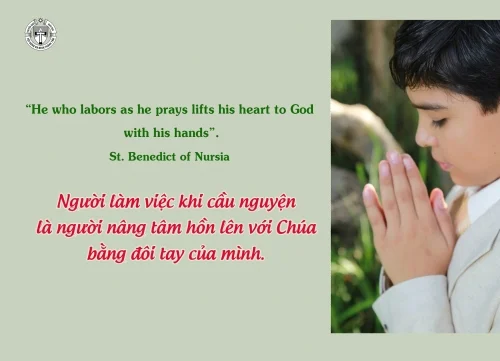 Ý lực sống - ngày 11/7/2024