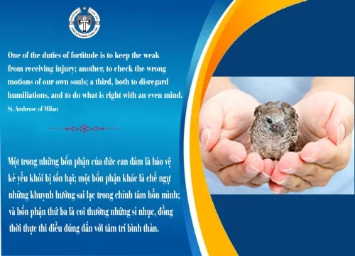Ý lực sống - ngày 11/8/2026