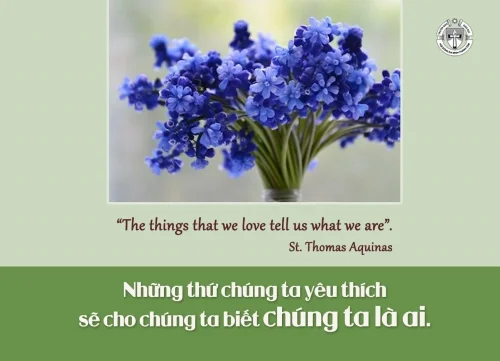 Ý lực sống - ngày 12/11/2025