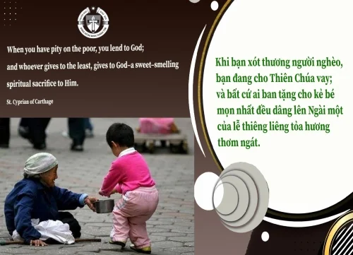 Ý lực sống - ngày 12/8/2026