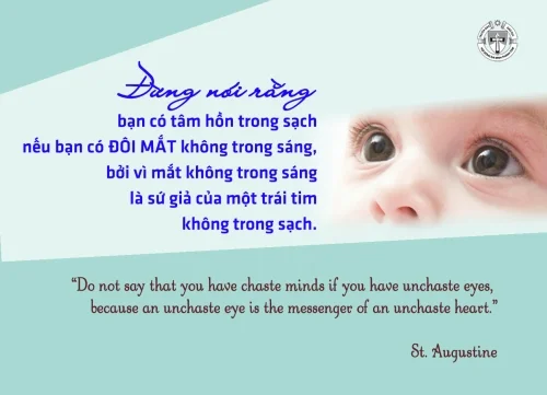 Ý lực sống - ngày 13/11/2025