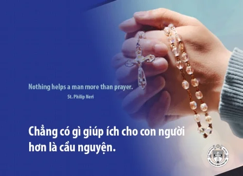 Ý lực sống - ngày 13/2/2024
