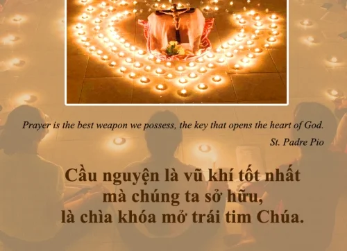 Ý lực sống - ngày 14/1/2024