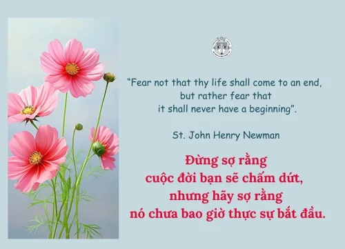 Ý lực sống - ngày 14/1/2026