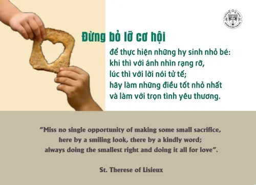Ý lực sống - ngày 14/11/2025