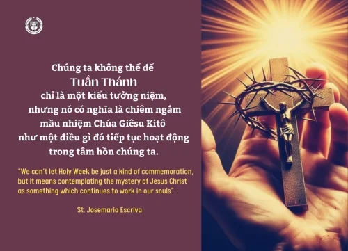 Ý lực sống - ngày 14/4/2025