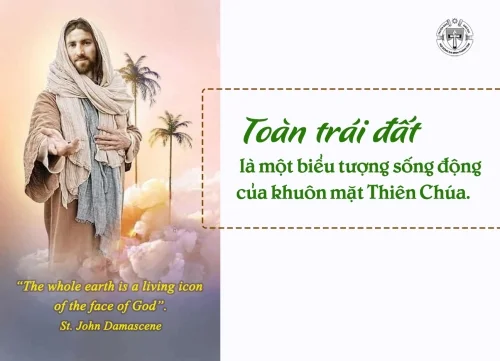 Ý lực Sống - Ngày 15/11/2025