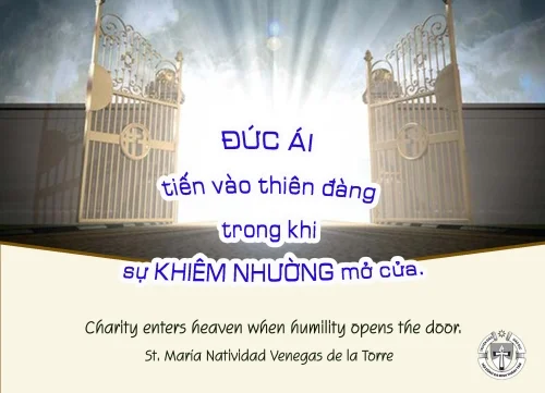 Ý lực sống - ngày 15/4/2025
