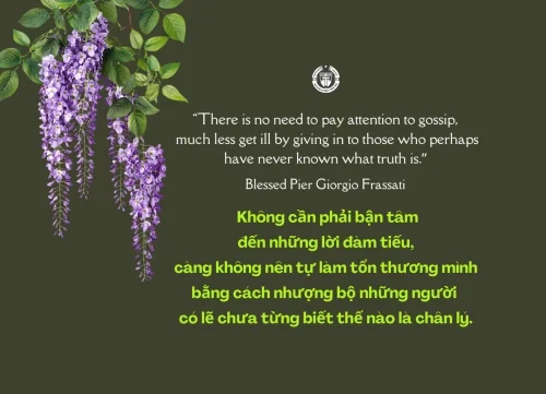 Ý lực sống - ngày 15/4/2026