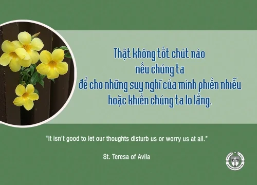 Ý lực sống - ngày 15/6/2025