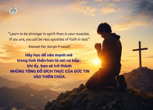 Ý lực sống - ngày 15/6/2026