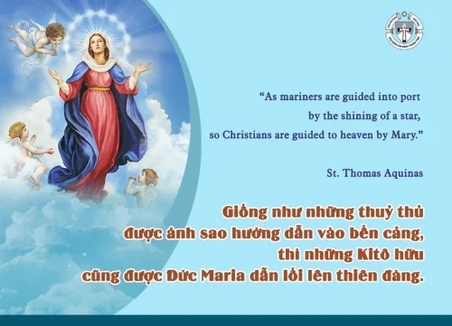 Ý lực sống - ngày 15/8/2025