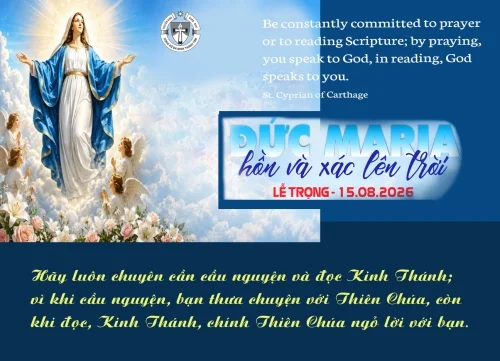 Ý lực sống - ngày 15/8/2026