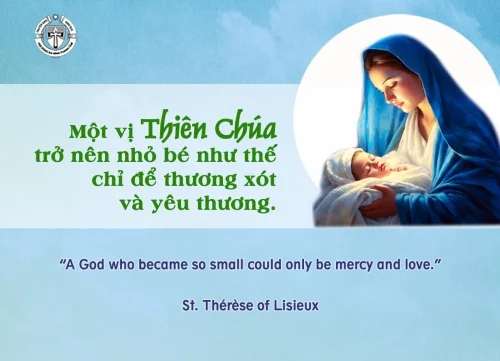 Ý lực sống - ngày 16/12/2025