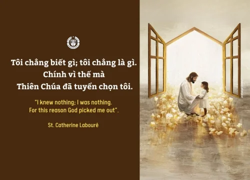 Ý lực sống - ngày 17/1/2026