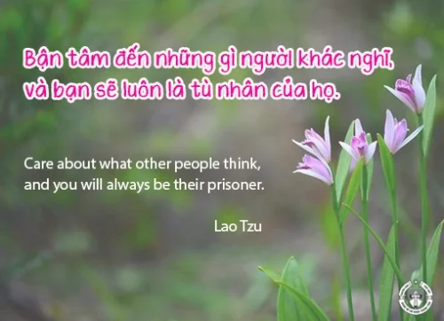 Ý lực sống - ngày 17/8/2024