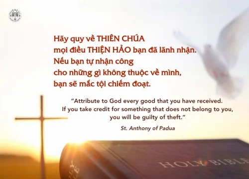 Ý lực sống - ngày 18/5/2026