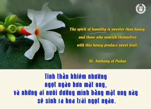 Ý lực sống - ngày 19/1/2024