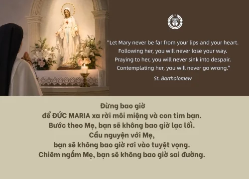 Ý lực sống - ngày 19/5/2026