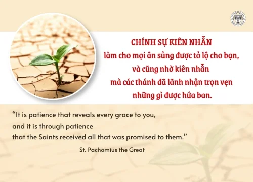 Ý lực sống - ngày 19/6/2026