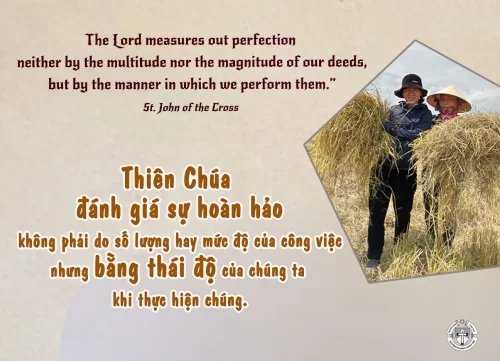 Ý lực sống - ngày 2/3/2025