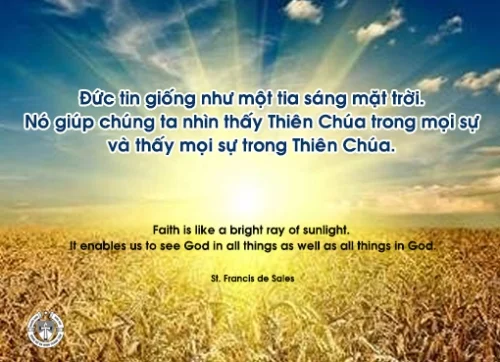 Ý lực sống - ngày 2/4/2024