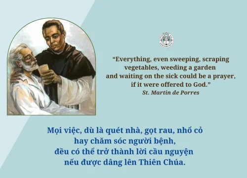 Ý lực sống - ngày 20/2/2026