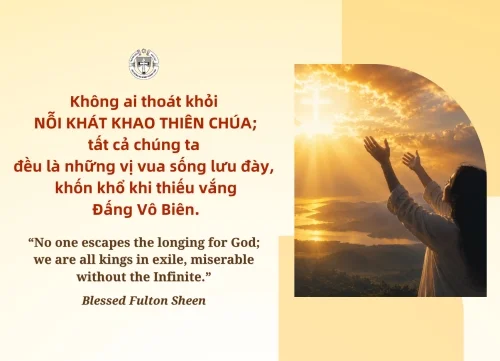 Ý lực sống - ngày 20/5/2026