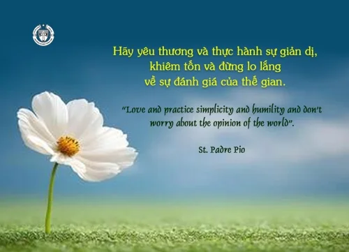 Ý lực sống - ngày 21/10/2025