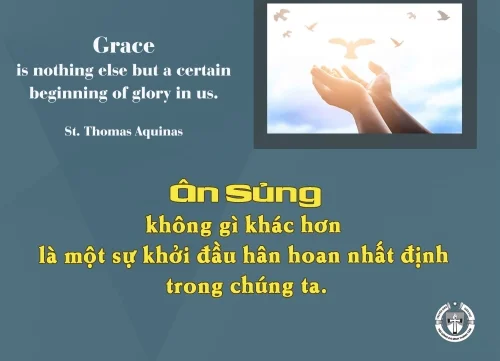 Ý lực sống - ngày 21/2/2025