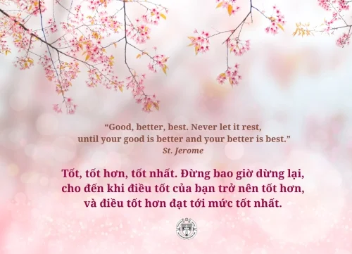 Ý lực sống - ngày 21/2/2026