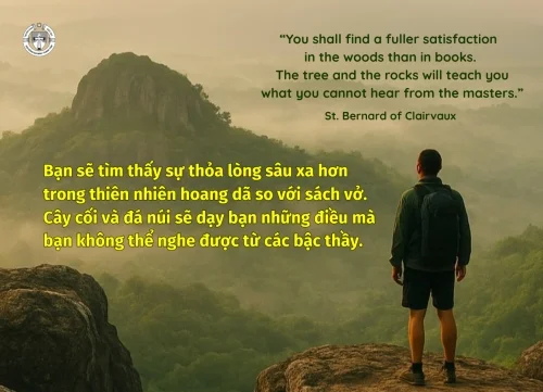 Ý lực sống - ngày 22/5/2026