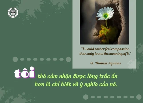 Ý lực sống - ngày 23/6/2025