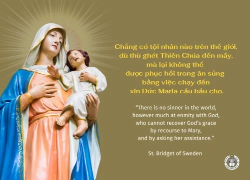 Ý lực sống - ngày 23/7/2024