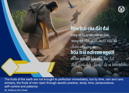 Ý lực sống - ngày 24/09/2026