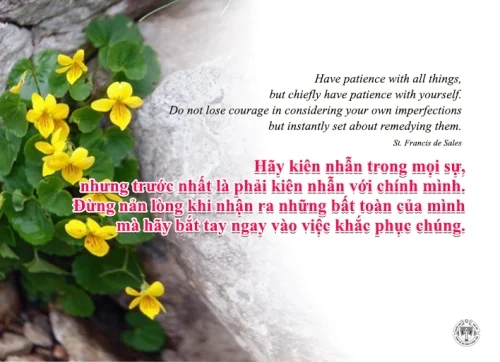 Ý lực sống - ngày 24/1/2024