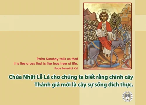 Ý lực sống - ngày 24/3/2024