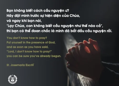 Ý lực sống - ngày 24/4/2024