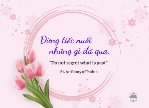 Ý lực sống - ngày 24/7/2024