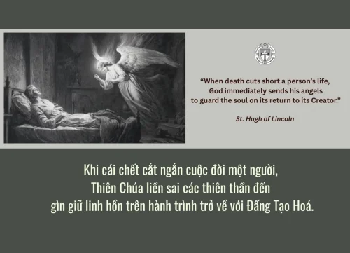 Ý lực sống - ngày 25/1/2026