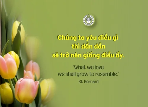 Ý lực sống - ngày 25/4/2026