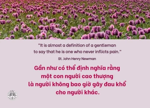 Ý lực sống - ngày 25/5/2026