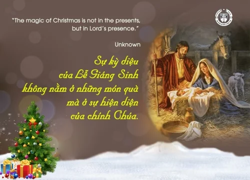 Ý lực sống - ngày 26/12/2025