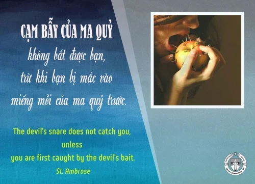 Ý lực sống - ngày 26/2/2025