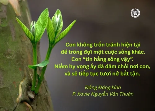 Ý lực sống - ngày 26/5/2026