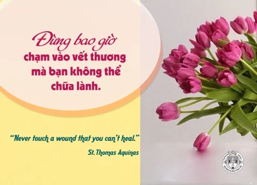 Ý lực sống - ngày 26/7/2025
